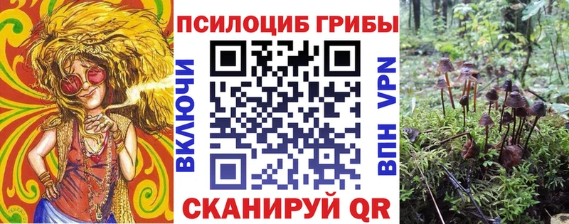 наркошоп  Луза  Псилоцибиновые грибы прущие грибы 